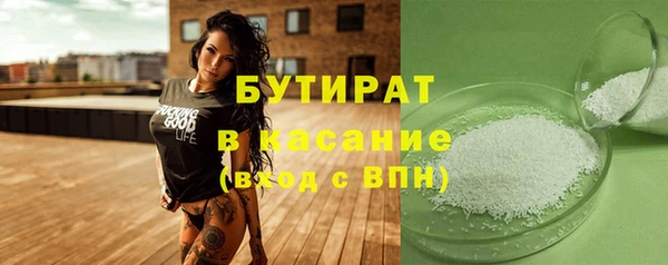 крисы Бородино