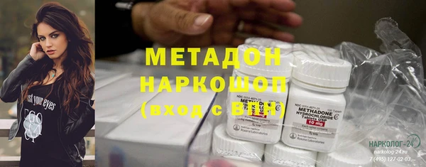 крисы Бородино