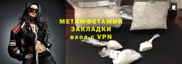 крисы Бородино