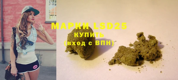 крисы Бородино