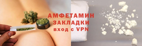 крисы Бородино