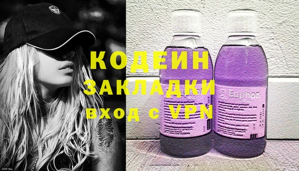 крисы Бородино