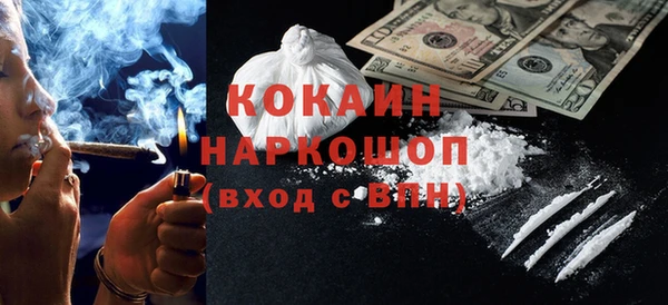 крисы Бородино