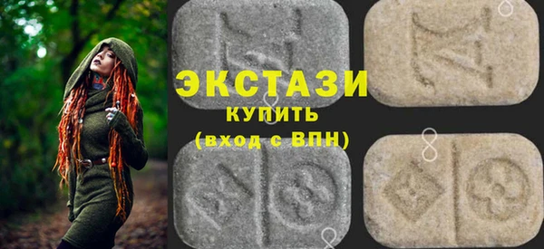 крисы Бородино