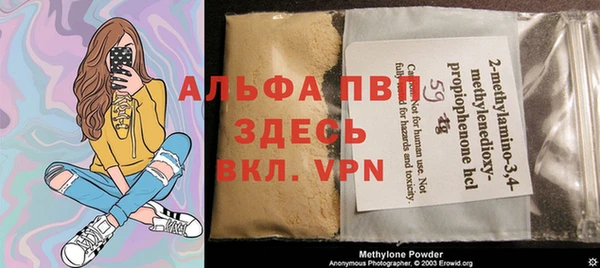 крисы Бородино